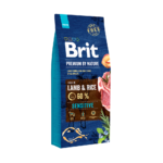 Brit Premium Ξηρά Τροφή για Σκύλους Όλων των Φυλών με  Ευαισθησία στο Πεπτικό Σύστημα με Αρνί και Ρύζι 15 Kgr