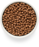 Grandorf GF Dog Fresh Salmon Adult Mini Breed Ξηρά Τροφή Χωρίς Σιτηρά για Ενήλικους Σκύλους Μικρόσωμων Φυλών με Σολομό 3 kgr - Image 2